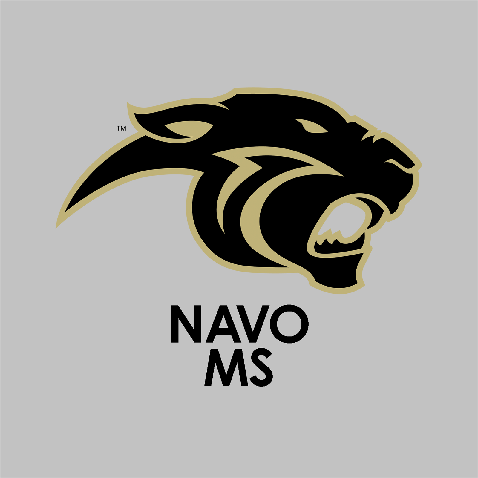 Navo MS RankONE Schedules